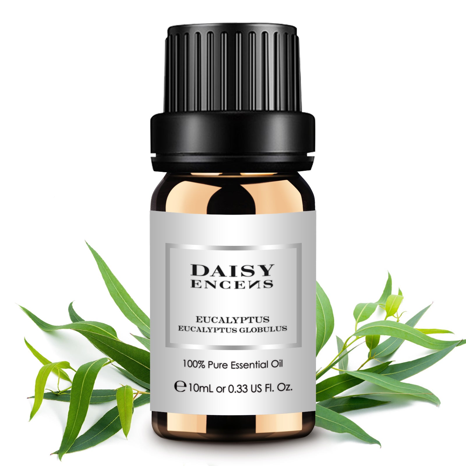 Refreshing 10ml bottle of Eucalyptus Pure Essential Oil, showcasing a clear glass vial with a vibrant green label.
