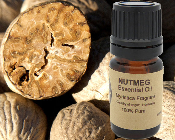 Nutmeg Essential Oil in a 15ml amber glass bottle, capturing the warm, spicy essence of Indonesian nutmeg seeds.